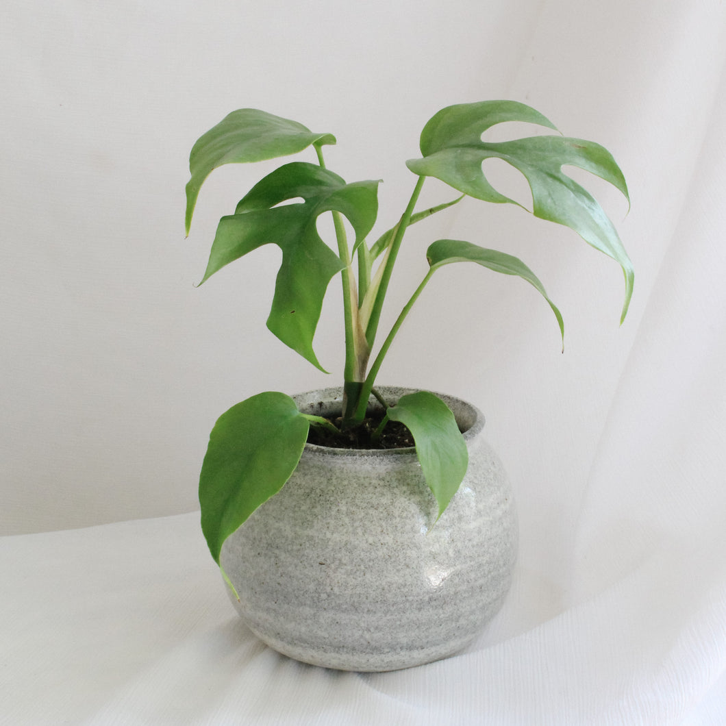 Stone Vessel